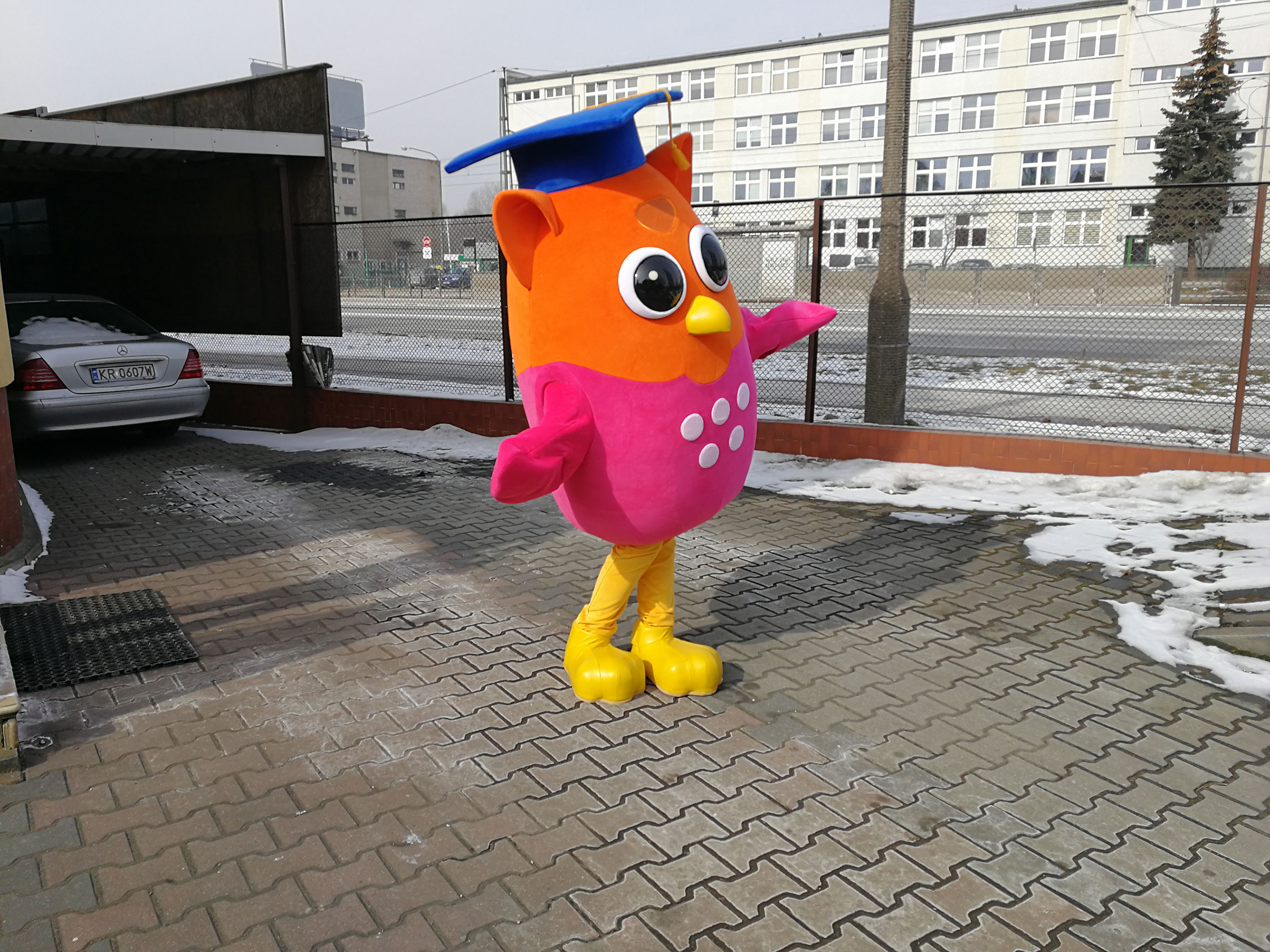 Energia pilnie poszukiwana! Rada - profesjonalne stroje reklamowe Elabika. Sowa